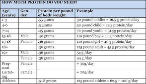 The Low Down On Protein Protein Chart Explains How Much