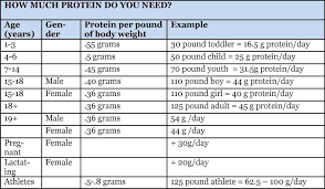 the low down on protein protein chart explains how much