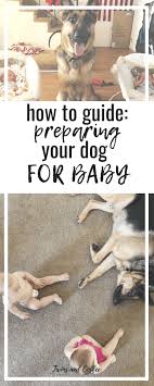 Baby Tips Panosundaki Pin