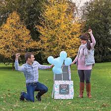 Large Pink Blue Gender Reveal Box Party City