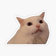 White Cat Meowing Meme Sticker By Goath Redbubble