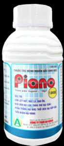 Piano 18EW