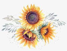 Download This Graphics Is Watercolor Hand Painted Sunflower Transparent Sunflower Watercolor Png Png Watercolor Sunflower Sunflower Images Sunflower Clipart