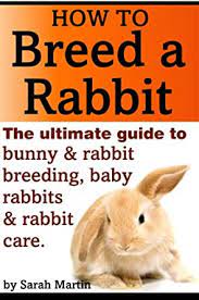 How To Breed A Rabbit The Ultimate Guide To Bunny And Rabbit Breeding Baby Rabbits And Rabbit Care English Edition Ebooks Em Ingles Na Amazon Com Br