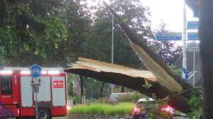 Het noodweer dat over het zuiden van nederland trekt zorgt op meerdere plaatsen voor wateroverlast. Hzgffh 9d6qlum