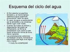 El ciclo del agua se puede representar en distintas fases. Esquema Sobre El Ciclo Hidrologico Del Agua Saferbrowser Yahoo Image Search Results Ciclo Hidrologico Ciclo Del Agua Esquemas
