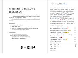 Instagram influencers get paid to promote products in their posts. How Many Followers To Become An Instagram Brand Ambazador