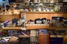 Image result for tokyu hands bento