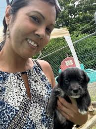 Mountain View Veterinary Clinic