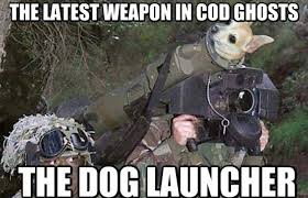 There are thousands of various video games available call of duty: Cod Memes