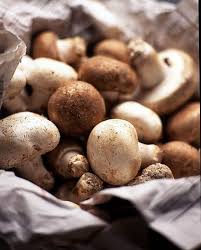 Veloute De Pleurotes A La Moutarde Recettes Elle A Table Pleurote Champignons Farcis Recettes De Cuisine