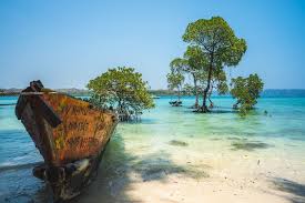 Situated in havelock island, havelock farms resort has a garden. Havelock Island In Andaman Beautiful Indian Island In Paradise