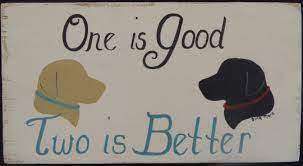 The quality of the materials and workmanship is top drawer. One Is Good Sign Pets Painted By Dina