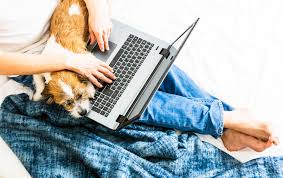 Oh means i am eligible for the upgrade right? Superloop Gives Away Free Speed Upgrade And Discounts On Nbn Plans