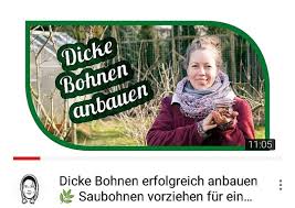 Wann genau können sie die knoblauch knollen aus dem gemüsebeet entnehmen und wie gehen sie dabei am geschicktesten vor? Gartengemusekiosk Hashtag On Twitter