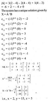 Plus Two Maths Chapter Wise Questions And Answers Chapter 4 Determinants This Or That Questions Math Question And Answer