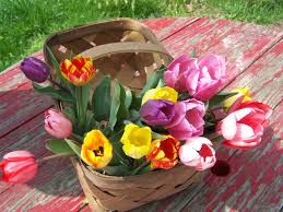Kukyflor Cuatro Razones Para Decorar Con Tulipanes Translations of the word tulipanes from spanish to english and examples of the use of tulipanes in a sentence with their translations: cuatro razones para decorar con tulipanes