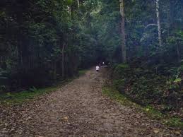 Abbreviation is mostly used in categories:technology malaysia forest institute tourism. Forest Research Institute Malaysia Frim Kepong Mapio Net
