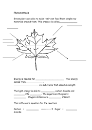 Some of the worksheets for this concept are photosynthesis diagrams work, a tree is like a hungry kid, what is. Photosynthesis Worksheet Teaching Resources