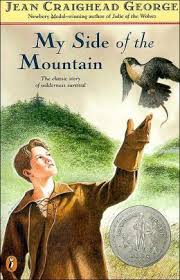 My Side Of The Mountain Chapter Books Books Books For Boys