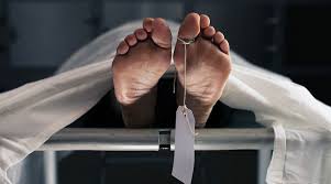 Forensic experts found she was bleeding from her nose and had vomited. Actress Arya Banerjee Found Dead Telegraph India