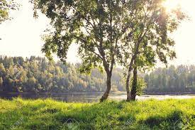 Collage of summer beach images. Beautiful Summer Season Specific Photograph Summer Archipelago Stock Photo Picture And Royalty Free Image Image 81961360