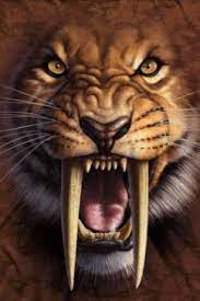 Pin View Bigger Saber Tooth Tiger Live Wallpap For Android Screenshot On Pinterest Big Cats Art Tiger Artwork Sabertooth Tiger