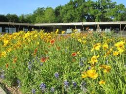 Maybe you would like to learn more about one of these? 4 Best Things To Do In Cedar Hill Texas