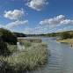 Guided Nature Walk event image