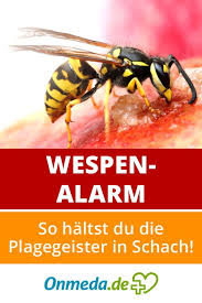 Achtung Wespen Stich So Kommen Sie Gut Durch Die Wespensaison Onmeda De Wespenstich Behandeln Wespenstich Wespe