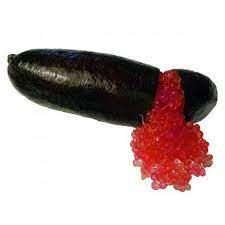 Finger limes thrive in the rainforest areas of northern new south wales and queensland. Microcitrus Australasica Varietat Crimson Tide