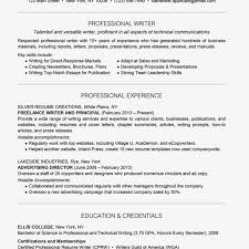 sample business plan for resume writing