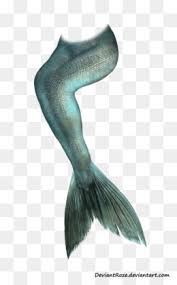 Find the perfect vinyl or rhinestone template design at the rhinestone world! Mermaid Tail Png Mermaid Tail Mermaid Tail Cartoon Mermaid Tail Silhouette Little Mermaid Tail Mermaid Tail Outline Blue Mermaid Tail Green Mermaid Tail Silver Mermaid Tail Mermaid Tail Sketch Cleanpng Kisspng