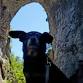 Luminary Nights at Natural Bridge State Park event in Natural Bridge, VA