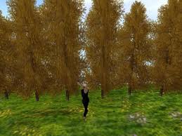 We have a wide variety of flowering trees for sale online, with free shipping on orders over $99. Second Life Marketplace European Larch 30m Tree Screen One Of Our Many Catalogue Entries For Flowers Plants Trees Shrubs And Landscaping