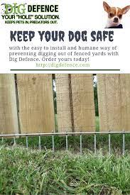 If your dog is digging in an area where you really don't want them, like a garden or in your front yard, you can do a few things to stop them from digging in those specific spots. Pet Supplies Dig Defence Stop Dogs From Digging Under The Fence Backyard Dog Dog Fence Fence Ideas For Dogs