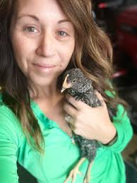 Wanted: certain chicken breeds in Marlborough