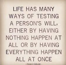 Pin By Nilesh Chavan On Poons In 2020 Words Quotes Words Quotable Quotes