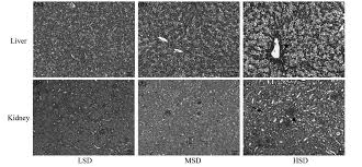 Effects of stocking density