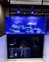 Karena banyak orang yang menganggap aquarium sebuah hiasan rumah yang mampu menjadikan suasana. 48 Pembuatan Aquarium Air Laut Ideas Green Lake Aquascape Aquarium