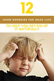 Get Rid Of Head Lice Naturally 12 Home Remedies That You Can Try