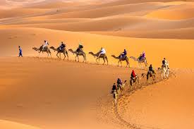 That is the desert of tunisia. 2 Days Tunisia Sahara Camel Trek From Douz Saharansky