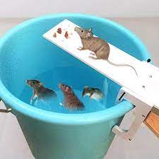Natural sprays, soil fertility and companion planting can help reduce or eliminate unwanted try these gardening hacks for natural diy pest control to keep bad bugs away from your garden plants. Diy Home Garden Pest Control Mouse Trap Quickly Kill Seesaw Mouse Catcher Bait Family Mouse Trap Mouse Pest Mouse Trap Effective Traps Aliexpress