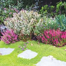 Gorgeous Garden Border Design Ideas For Any Yard In The West Sunset Garden Borders Beautiful Gardens Garden Design