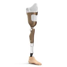 F artificial leg, leg prosthesis. 3d Modell Mit Beinprothese 3d Modell 79 Max Free3d