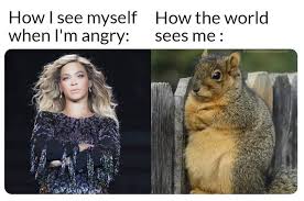 How I See Myself When Im Angry How The World Sees Me Meme Ahseeit