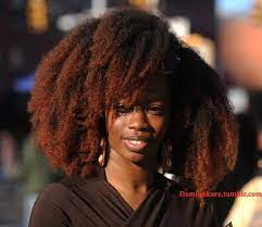 This hair dye offers users a healthy way to express color without using any ammonia. Best Hair Color Black Women Dark Skin 19 Ideas Hair Color For Dark Skin Hair Color For Black Hair Cool Hair Color