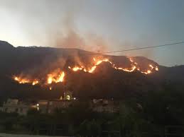 Regione, calabria verde, protezione civile, prefetture e volontari stanno facendo il massimo per far rientrare al più presto l'emergenza. Mentre La Calabria Brucia Doppiozero