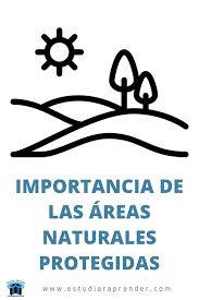 La protección de las especies autóctonas de cada localidad, permite que se mantenga una armonía en los patrones biológicos. Importancia De Las Areas Naturales Protegidas