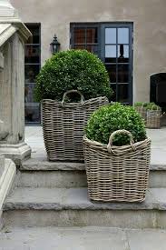 Korb Mit Buchsbaum Gartencontainer Gruner Garten Garten